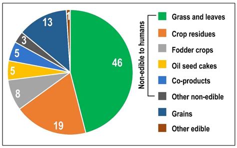 sketch how to draw a cow and consider the impact of climate change on agricultural practices